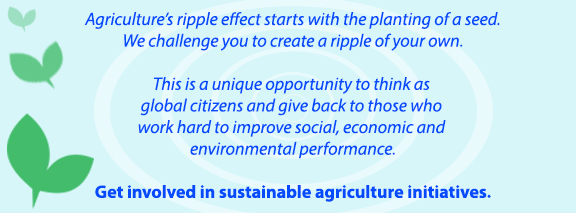 donation page banner